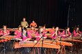 10.25.2014 Alice Guzheng Ensemble 12th Annual Performance at James Lee Community Theater, VA (15)